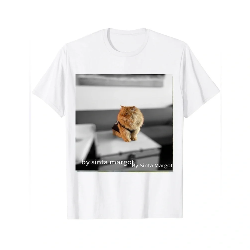 Digital photography print by me of my Persian cat wearing clothing NWT